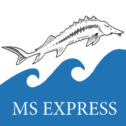 логотип ms express | по продаже русских продуктов | картика форме осетры